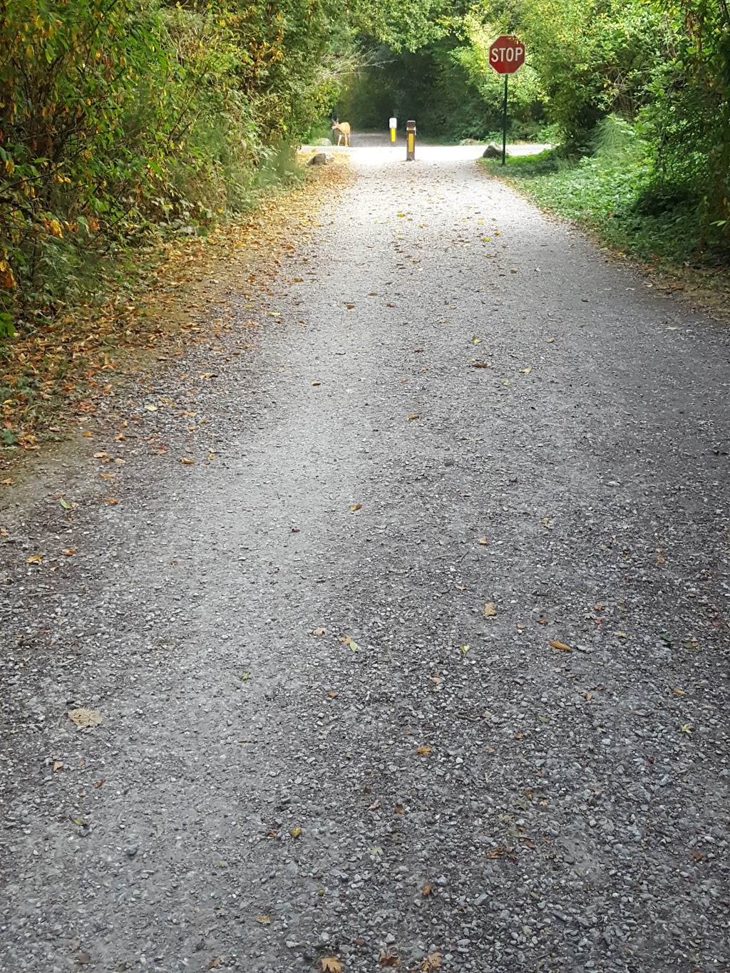 Trailhead for Interurban Trail | 1815 Old Fairhaven Pkwy, Bellingham, WA 98225, USA