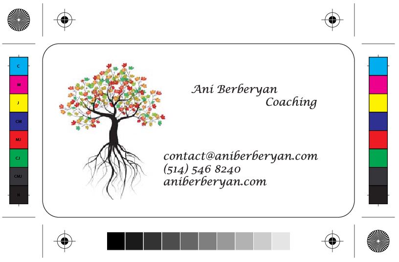 Ani Berberyan Coaching | 3245 Rue Boisclair, Brossard, QC J4Z 2C3, Canada | Phone: (514) 546-8240