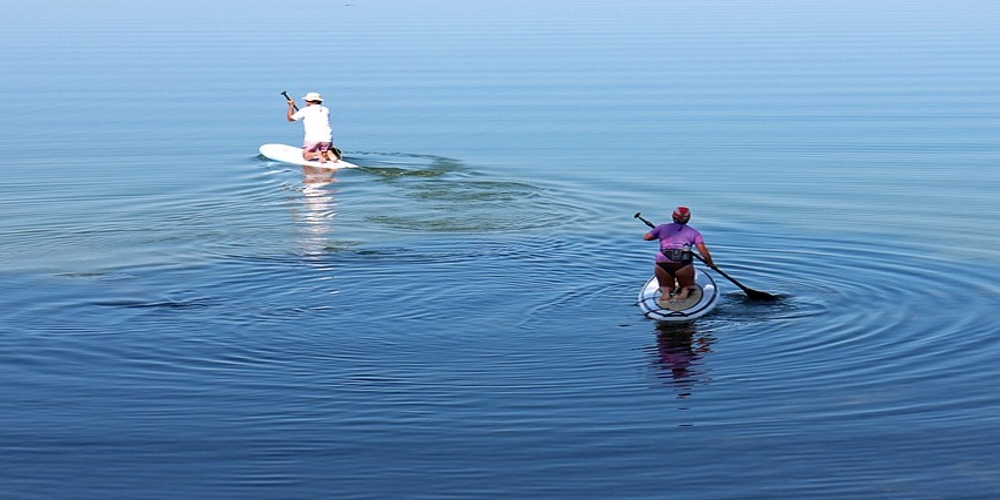 Les kayaks de La Rivière Sauvage | 345 Route Dostie, Saint-Romain, QC G0Y 1L0, Canada | Phone: (418) 486-2100