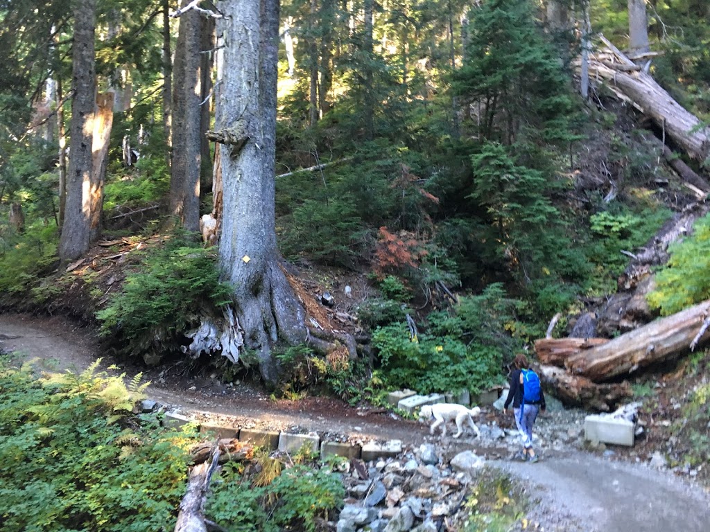 Saint Marks Summit | Howe Sound Crest Trail, Bowen Island, BC V0N 1G0, Canada