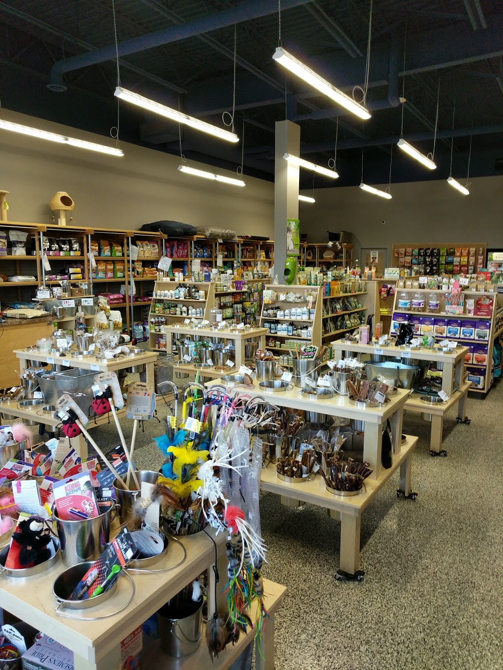 Pet Planet Wye Road Crossing | 301 Wye Rd #49, Sherwood Park, AB T8B 0A4, Canada | Phone: (587) 269-2006