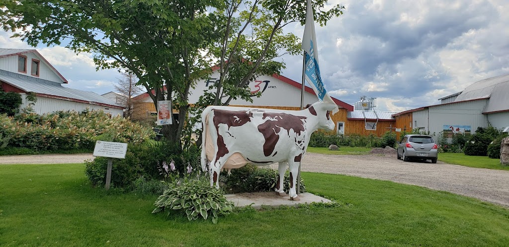 Fromagerie au Pays-des-Bleuets | 805 Rang Simple S, Saint-Félicien, QC G8K 2N8, Canada | Phone: (418) 679-2058