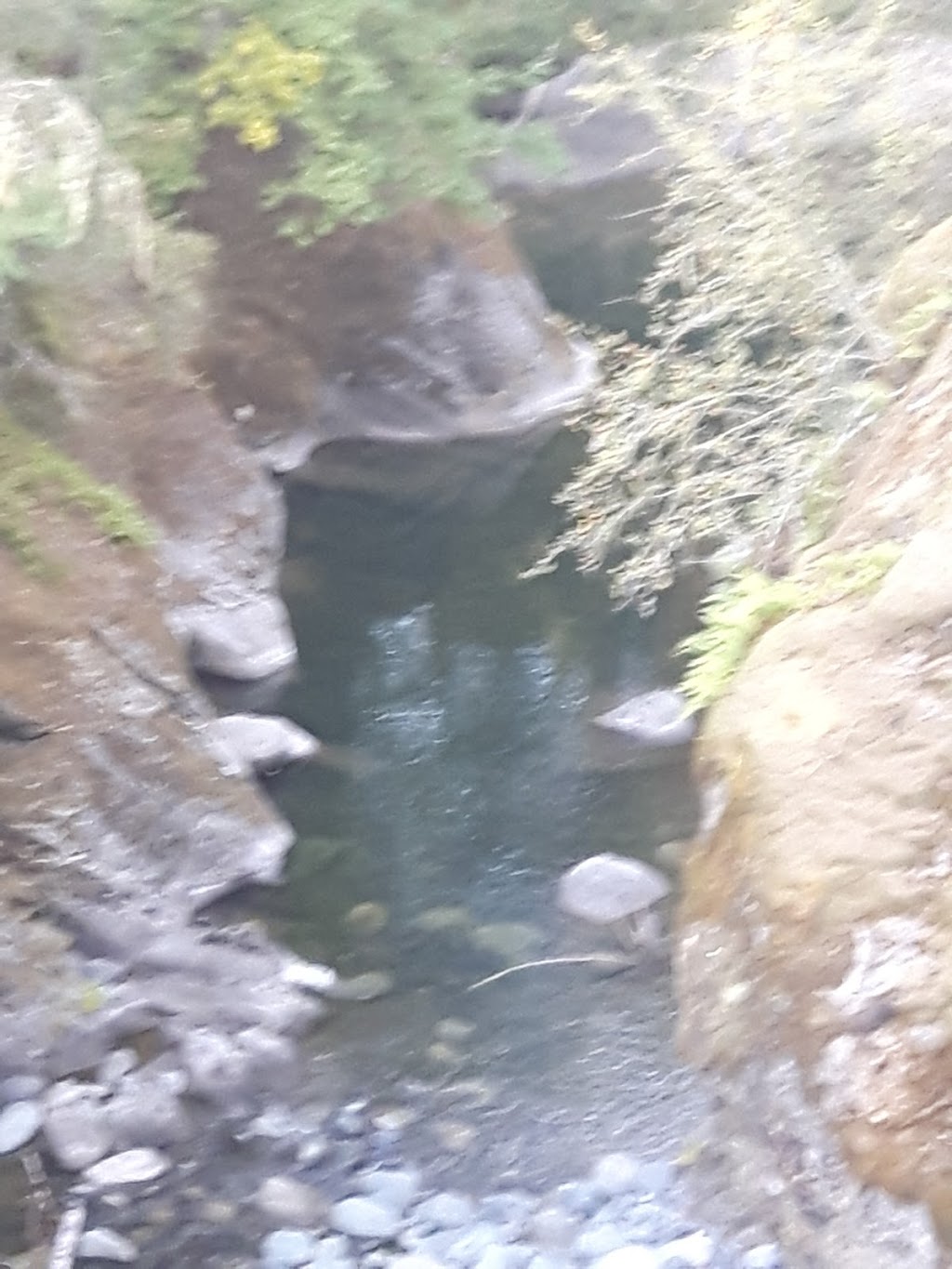 Haslam Creek Suspension Bridge | Trans Canada Trail, Lake Cowichan, BC V0R 2G0, Canada