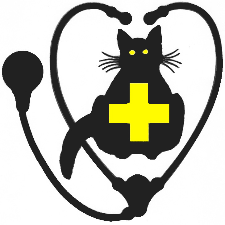 Sudbury Regional Cat Hospital | 262 Caswell Dr, Sudbury, ON P3E 2N8, Canada | Phone: (705) 586-0414