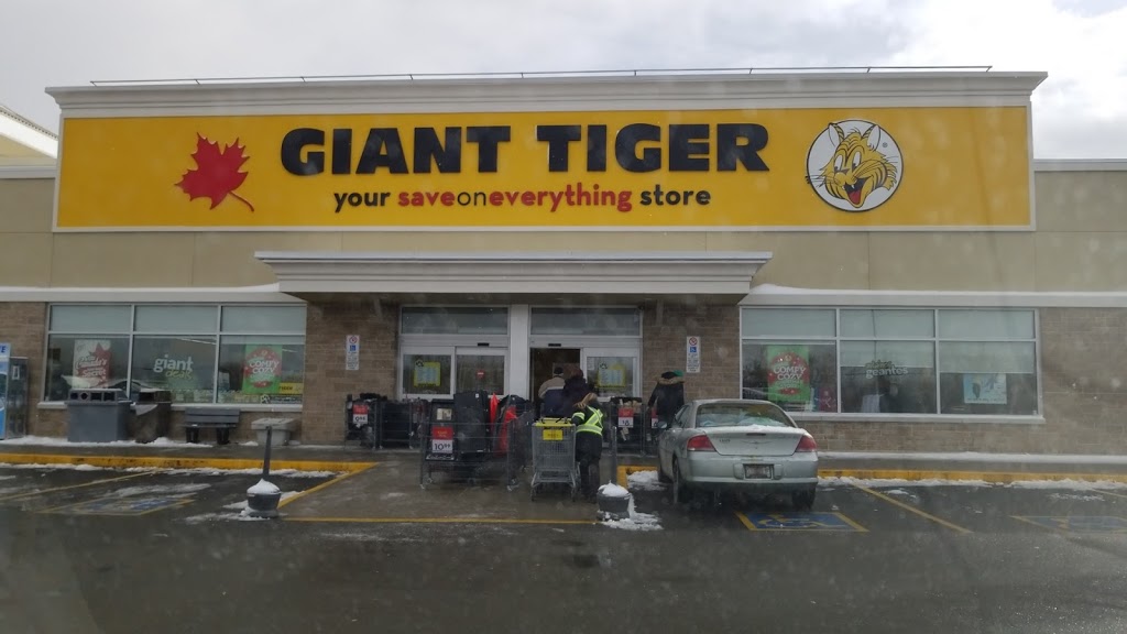 Giant Tiger | 654 Notre Dame St, Embrun, ON K0A 1W0, Canada | Phone: (613) 443-1215