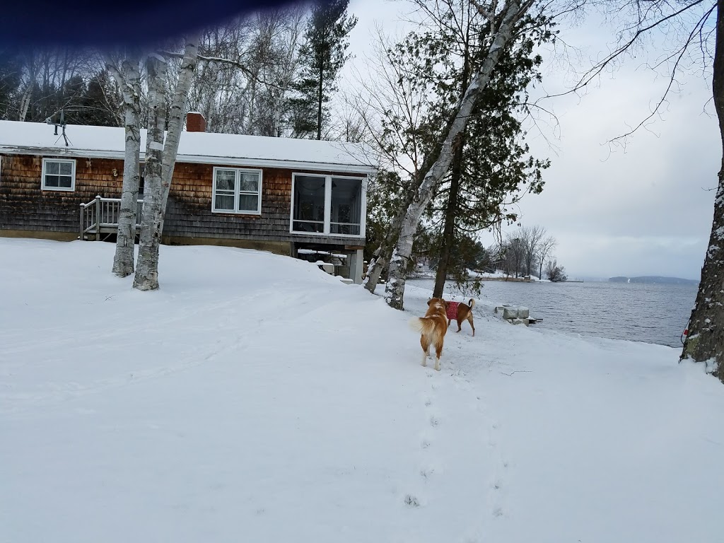 Waters Edge B & B | 324 Wishing Well Ave, Newport, VT 05855, USA | Phone: (802) 334-1840