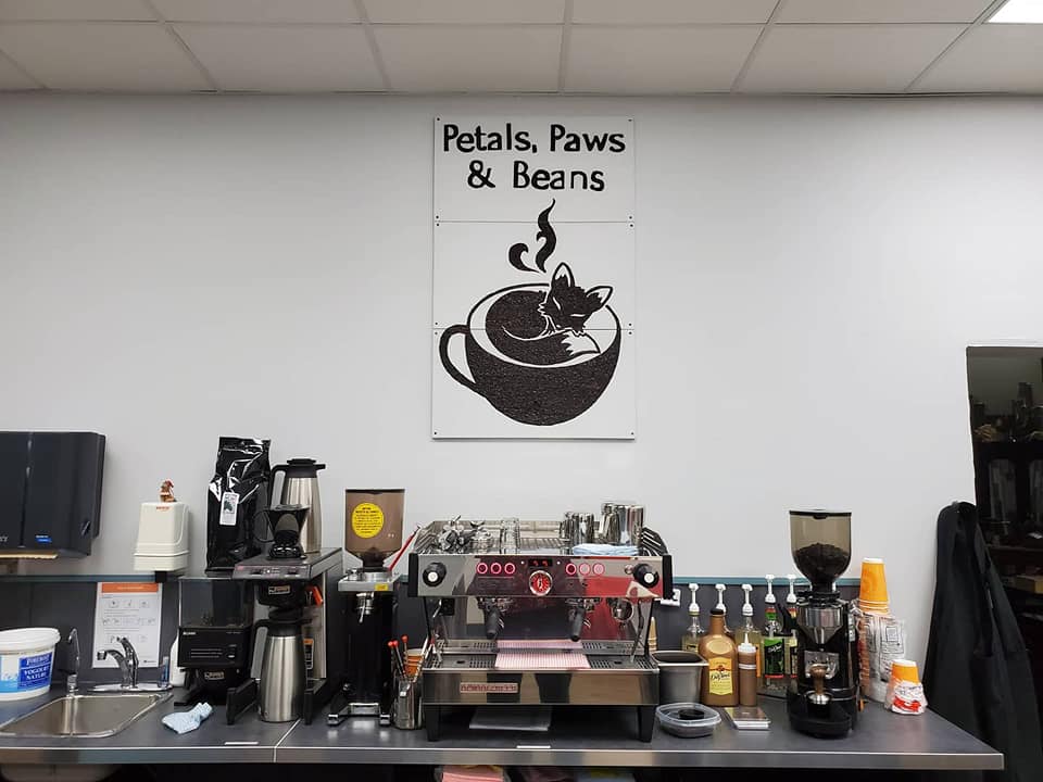 Petals Paws and Beans | 24 Mt Burke Blvd W #20, Lethbridge, AB T1K 7X9, Canada | Phone: (587) 425-0545