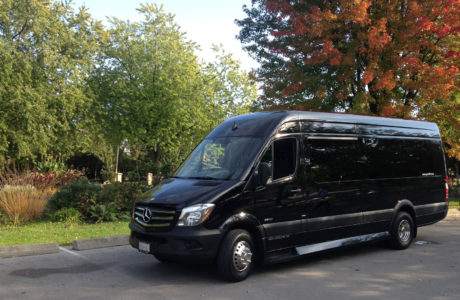 Prostarlimousine service | 693 hwy 6 north, Hamilton, ON L8N 2Z7, Canada | Phone: (416) 725-8476