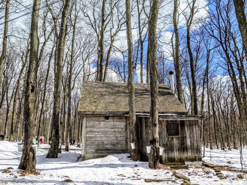 Sucrerie de la Montagne | 300 Chemin Saint-Georges, Rigaud, QC J0P 1P0, Canada | Phone: (450) 451-0831