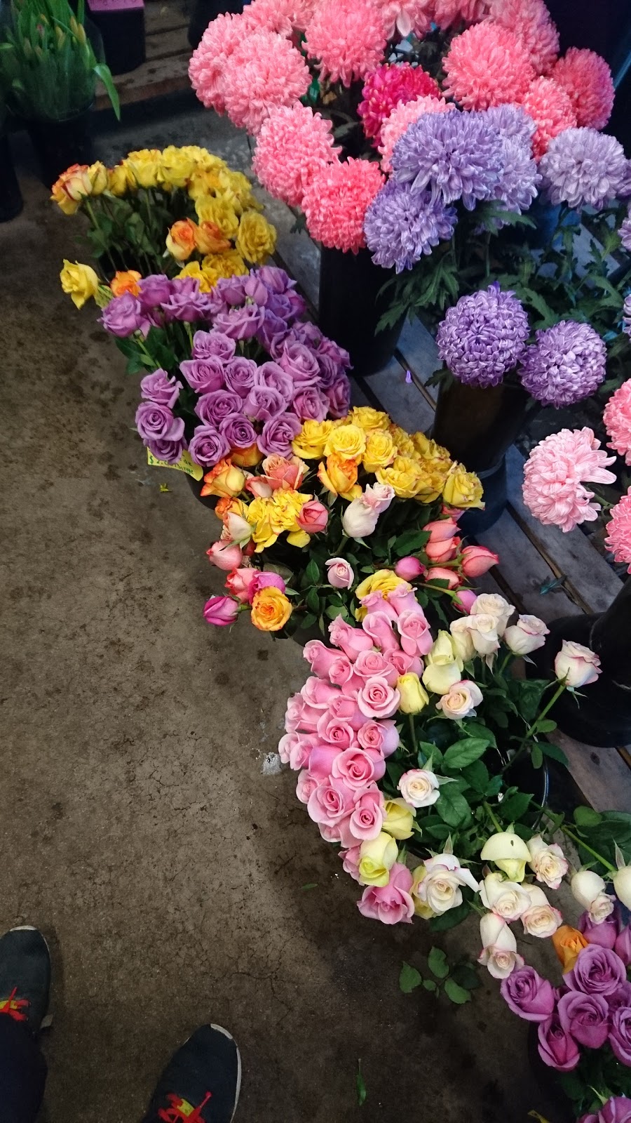 Four Seasons Flowers | 666 Woolwich St, Guelph, ON N1H 7G5, Canada | Phone: (519) 836-5894