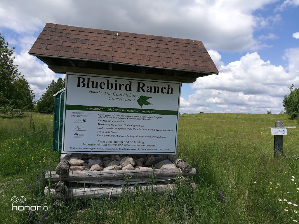 The Carden Alvar Important Bird Area | Kawartha Lakes, ON K0M 2B0, Canada