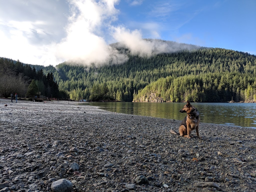 Buntzen Lake Dog Park | Anmore, BC V3H, Canada