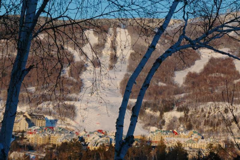 Tremblant Snowdrift | Rue Pinoteau, Mont-Tremblant, QC J8E 1G2, Canada | Phone: (819) 430-2043