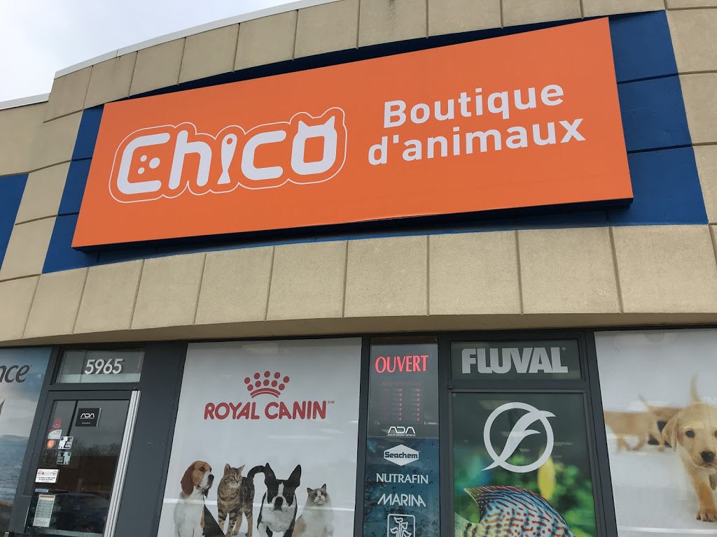 Boutique danimaux Chico Trois-Rivières | 5965 Boulevard Jean-XXIII, Trois-Rivières, QC G8Z 4P9, Canada | Phone: (819) 374-6464