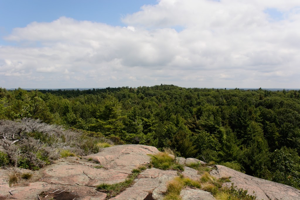 Rock Dunder Hiking Trail | Stanley Lash Ln, Lyndhurst, ON K0E 1N0, Canada