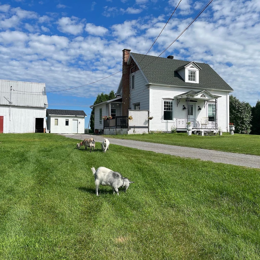 Gîte - La ruée vers l’orge | 3931 Rue Notre Dame E, Trois-Rivières, QC G8V 1Z1, Canada | Phone: (819) 699-4258