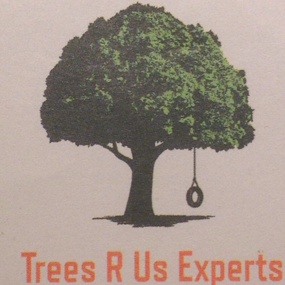 Trees"r"us Experts | 154E Essex Road 14, Cottam, ON N0R 1B0, Canada | Phone: (519) 817-2867