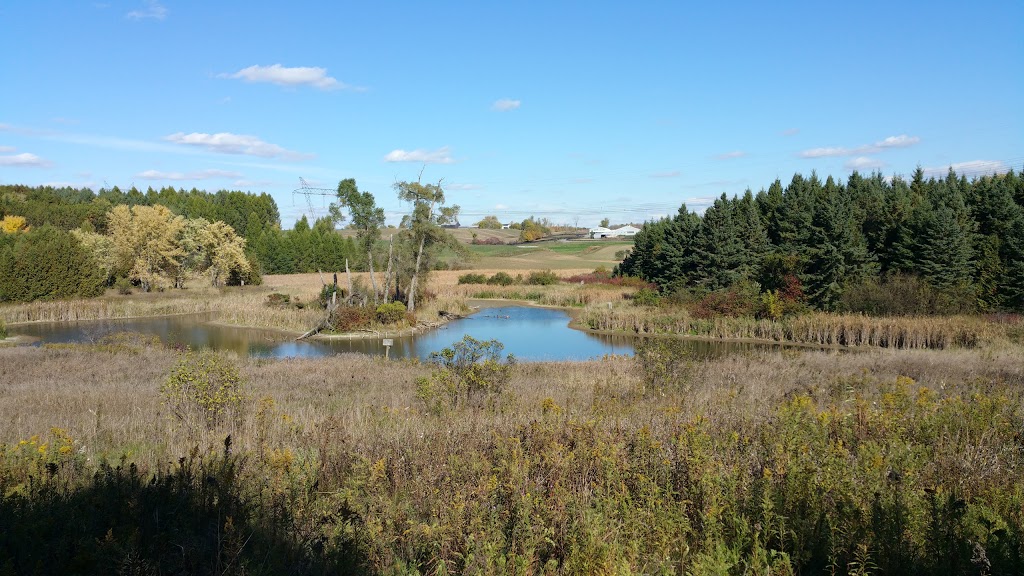 Cold Creek Conservation Area | 14125 11th Concession, Nobleton, ON L0G 1N0, Canada | Phone: (905) 833-5321