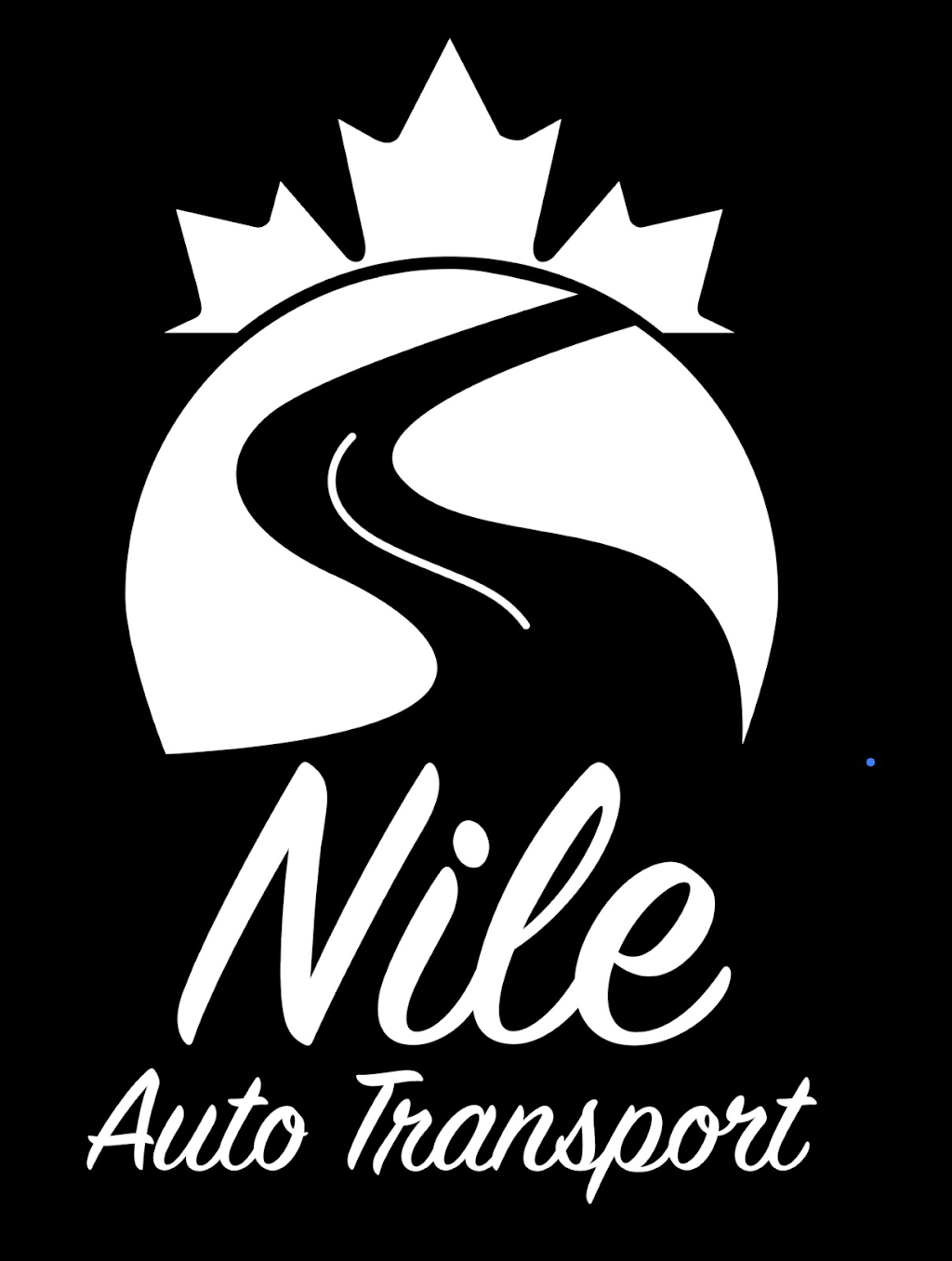 Nile Auto Transport | 235132 84 St SE, Alberta T1X 0K1, Canada | Phone: (587) 969-2333