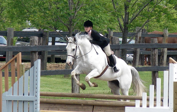 Warwick Equestrian Development | 3433 Crampton Dr, Mossley, ON N0L 1V0, Canada | Phone: (519) 269-1115