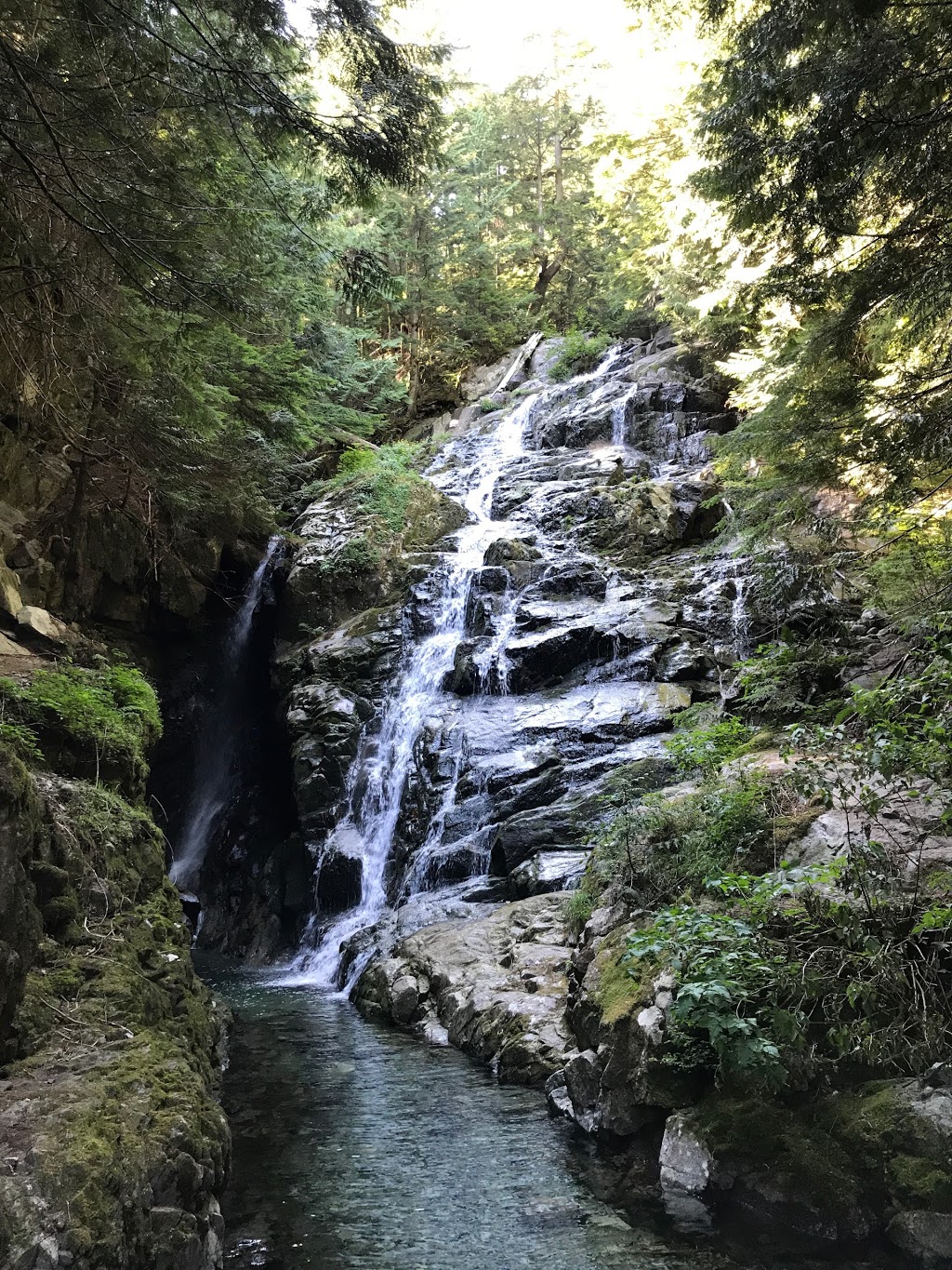 Big Cedar | North Vancouver, BC V7K 3B2, Canada