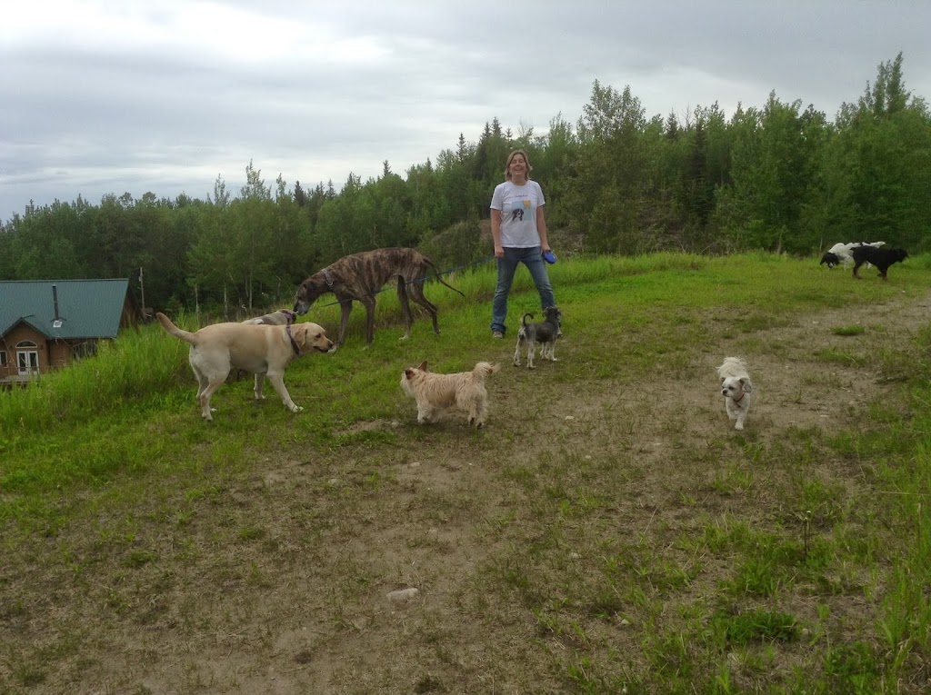 The Dog Ranch | Trans-Canada Hwy, Evansburg, AB T0E 0T0, Canada | Phone: (780) 727-2652