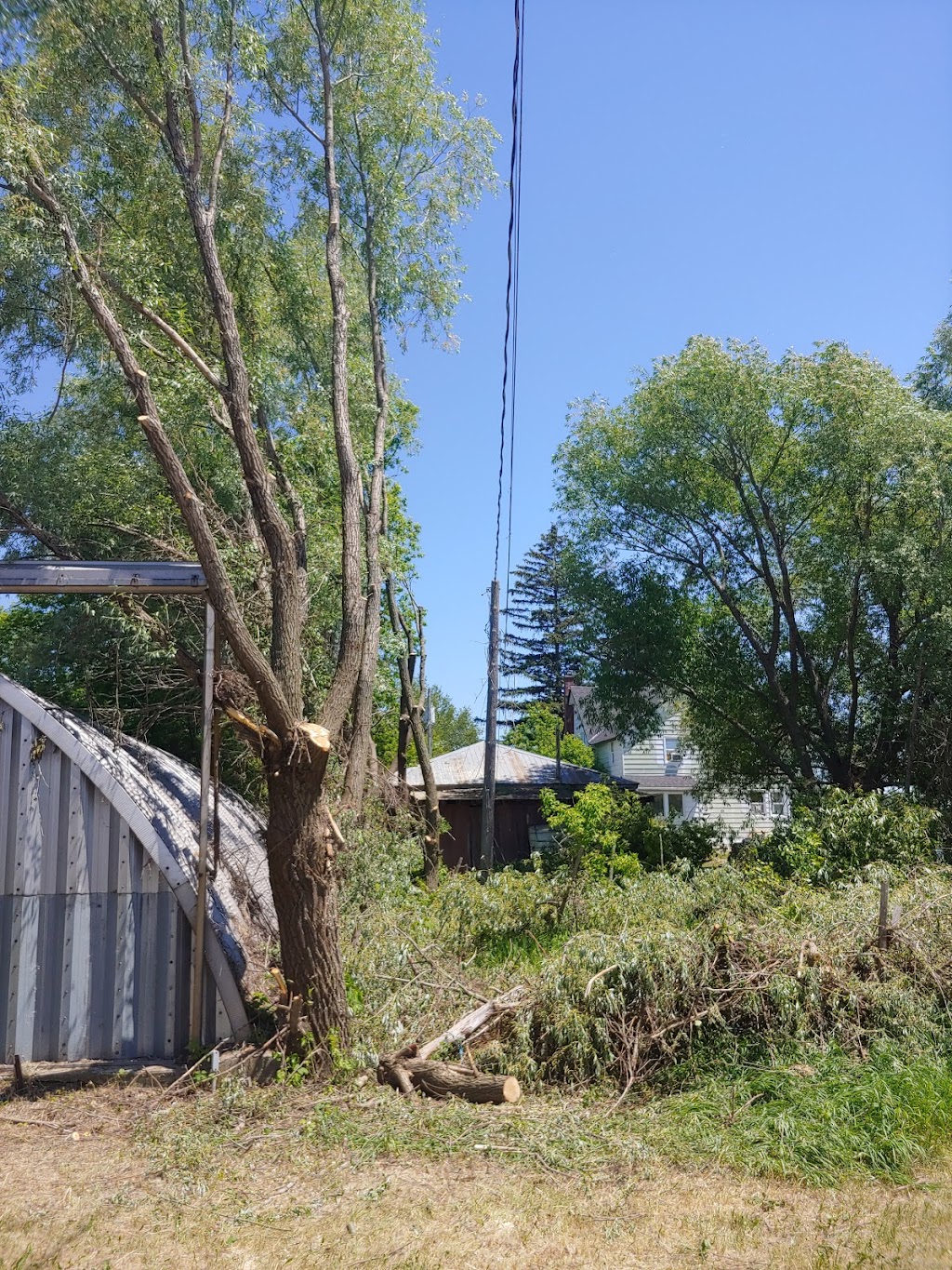 Tree Climbers | 5036 Thunder Rd, Carlsbad Springs, ON K0A 1K0, Canada | Phone: (613) 860-8733