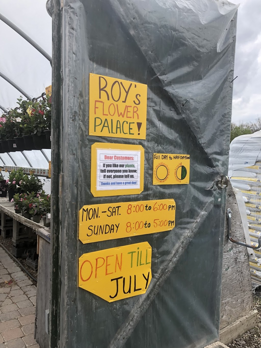 Roys Flower Palace - Seasonal greenhouse | 2726 Ottawa Regional Rd 11, Nepean, ON K2J 4S2, Canada