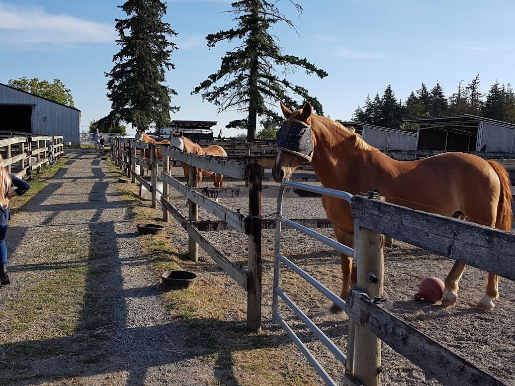 Cornwall Ridge Farm | 21955 16 Ave, Langley, BC V2Z 1K5, Canada | Phone: (604) 304-0201