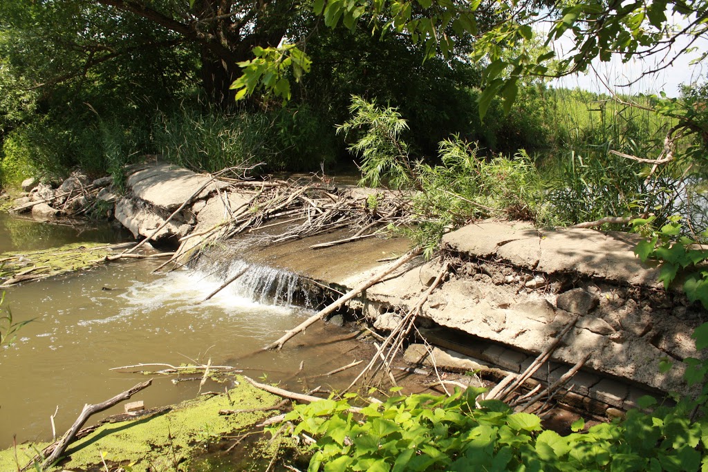 Drumquin Park: Creek Restoration Project | 263-917 Britannia Rd, Milton, ON L9T 7G5, Canada | Phone: (905) 336-1158