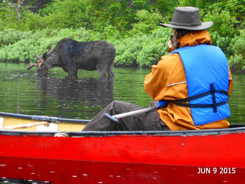 Mokotakan, Native site | 2120 Chemin St François, Saint-Mathieu-du-Parc, QC G0X 1N0, Canada | Phone: (819) 532-2600