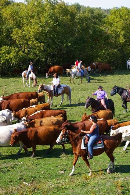 Ferme Du Joual Vair | 3225 Boulevard du Parc-Industriel, Bécancour, QC G9H 3N1, Canada | Phone: (819) 297-2107