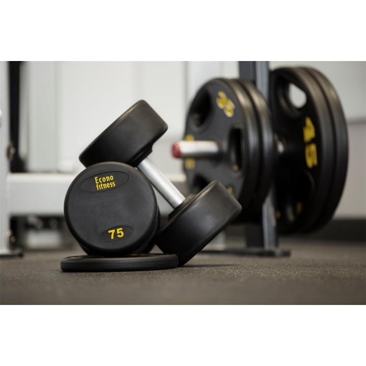 Éconofitness | 741 Avenue Viger O, Montréal, QC H3B 4L5, Canada | Phone: (438) 387-1810