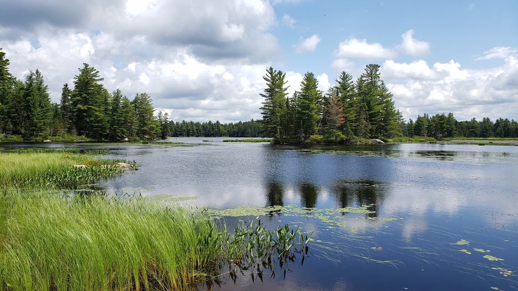 Frontenac National Park | 599 Chemin des Roy, Sainte-Praxède, QC G0M 1H1, Canada | Phone: (800) 665-6527