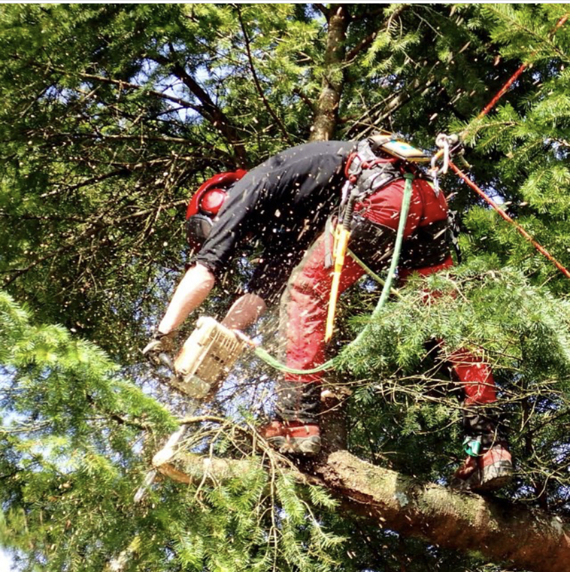 Summit Tree Care | 3646 Reynolds Rd, Nanaimo, BC V9T 2P4, Canada | Phone: (250) 268-8883