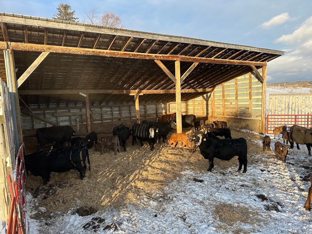 FERME ROGER FORTIER ET FILS | 827 Chem. Gosford, Saint-Pierre-Baptiste, QC G0P 1K0, Canada | Phone: (418) 332-0466