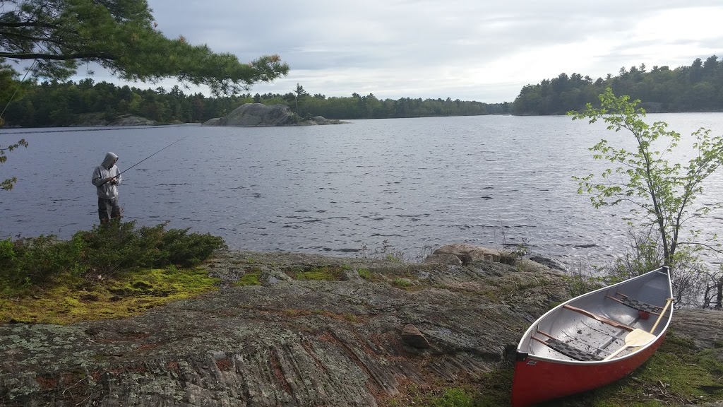 Elephant Rock | McCrae Lake, Georgian Bay, ON P0C, Canada