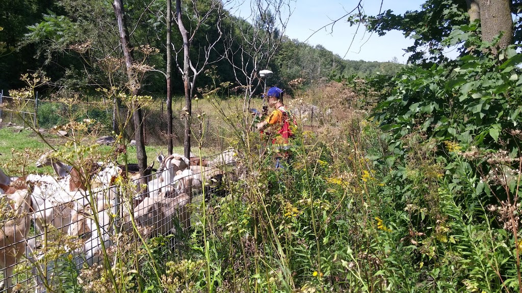 MARTIN CERAT EXCAVATION | 211 Côte Jeanne, Saint-Lin - Laurentides, QC J5M 1X9, Canada | Phone: (514) 942-8101