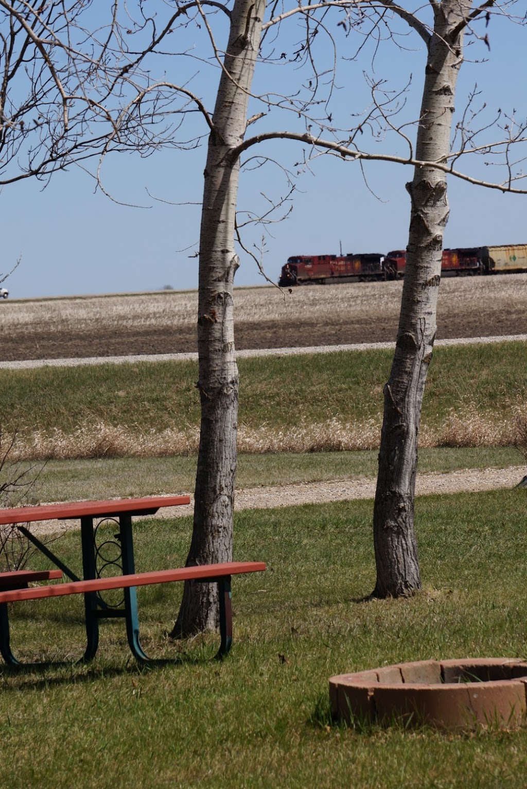 Painted Rock Campground | Hwy 16 &, Kirk Rd, Colonsay, SK S0K 0Z0, Canada | Phone: (306) 257-3537