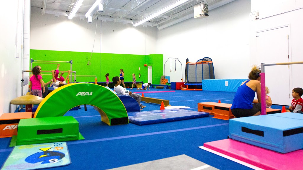 LeapFrog Gymnastics | 1564 Booth Ave, Coquitlam, BC V3K 1B9, Canada | Phone: (604) 528-9988