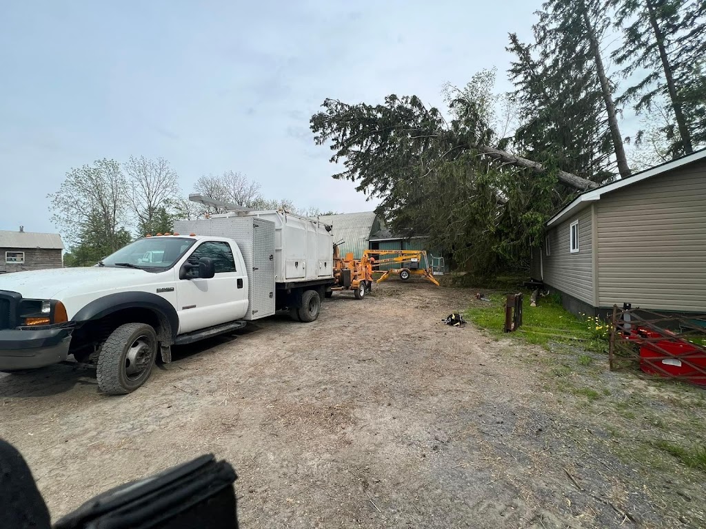 Forest Tree Service | 3664 Loggers Way, Kinburn, ON K0A 2H0, Canada | Phone: (613) 292-8315