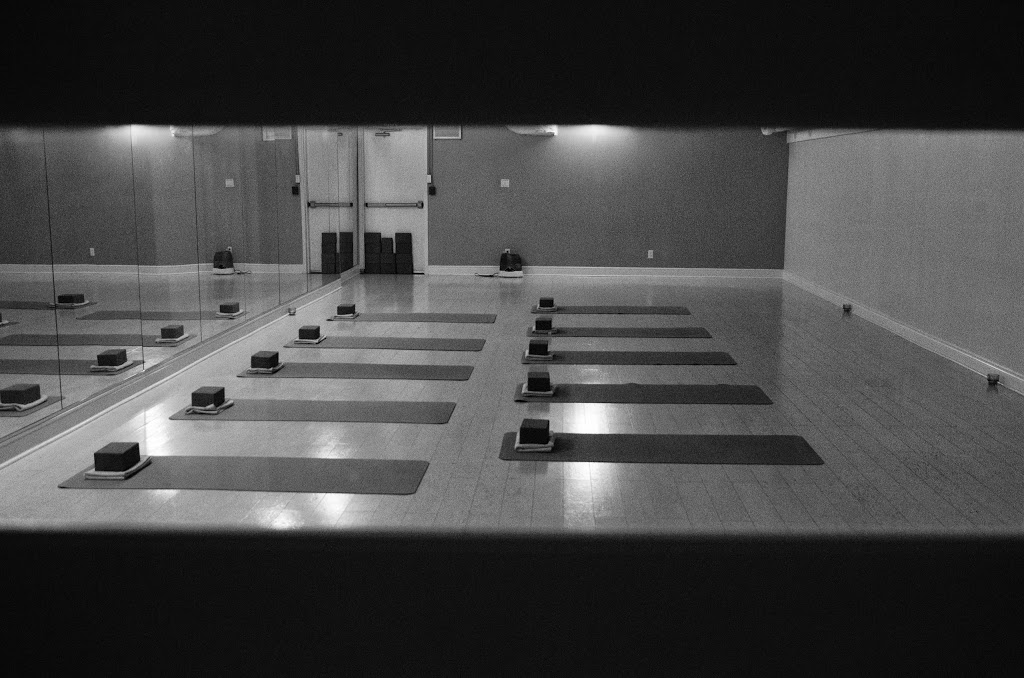 Modo Yoga | 1138 The Queensway, Etobicoke, ON M8Z 1P7, Canada | Phone: (416) 253-9642