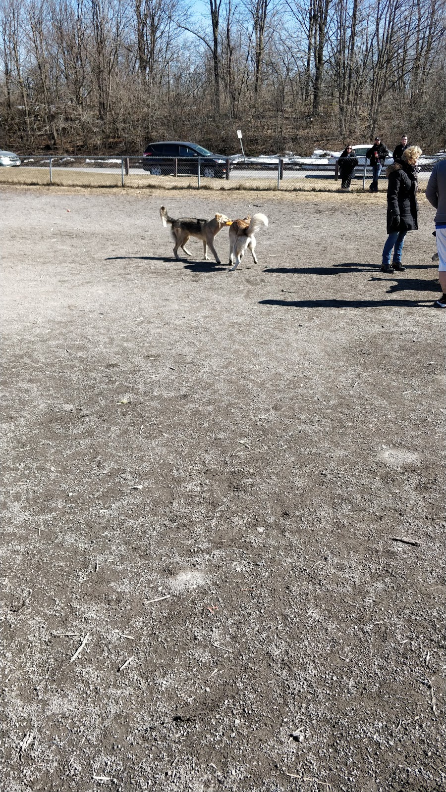 Rotary Park Dog Park | Kingston, ON K7M, Canada