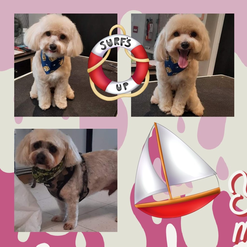 Paws In The Sand Dog Grooming | 15505 Marine Dr #104, White Rock, BC V4B 1C9, Canada | Phone: (604) 825-0063