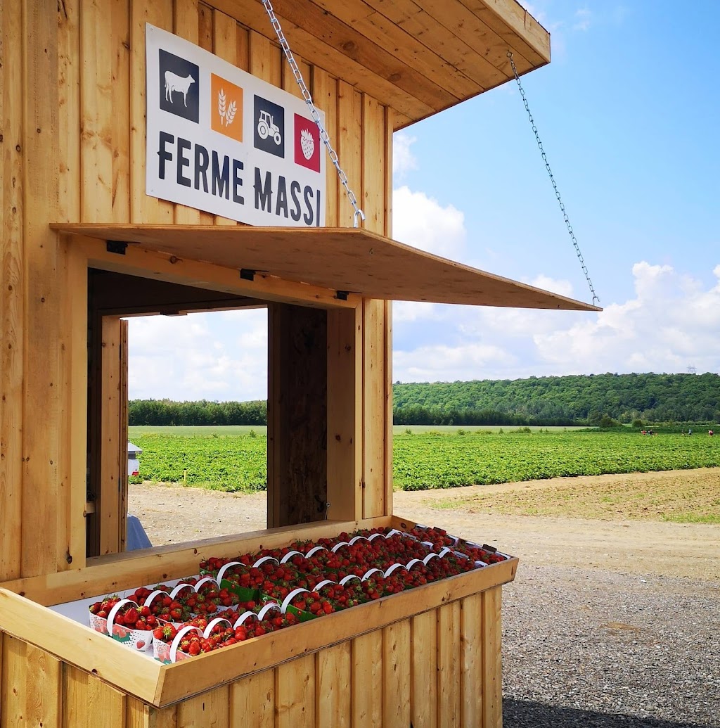 Ferme Massi | 4500 Chem. de Sainte-Flore, Shawinigan, QC G9T 1A8, Canada | Phone: (819) 533-1145