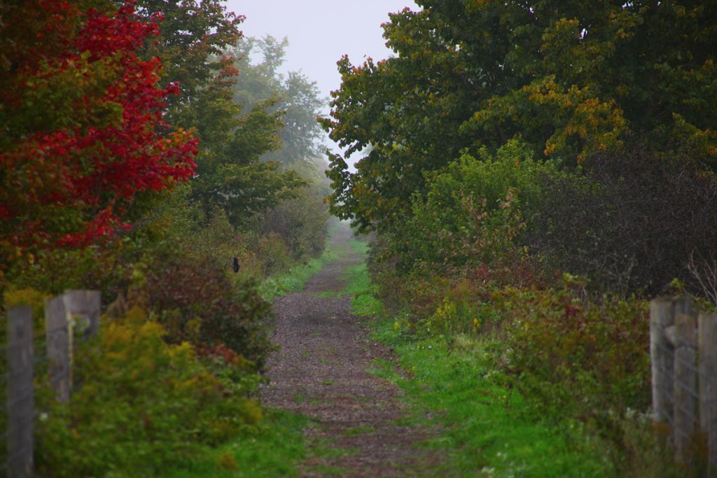 Kissing Bridge Trailway Near Linwood, Ontario | 2A0, Kissing Bridge Trailway, Linwood, ON N0B 2A0, Canada