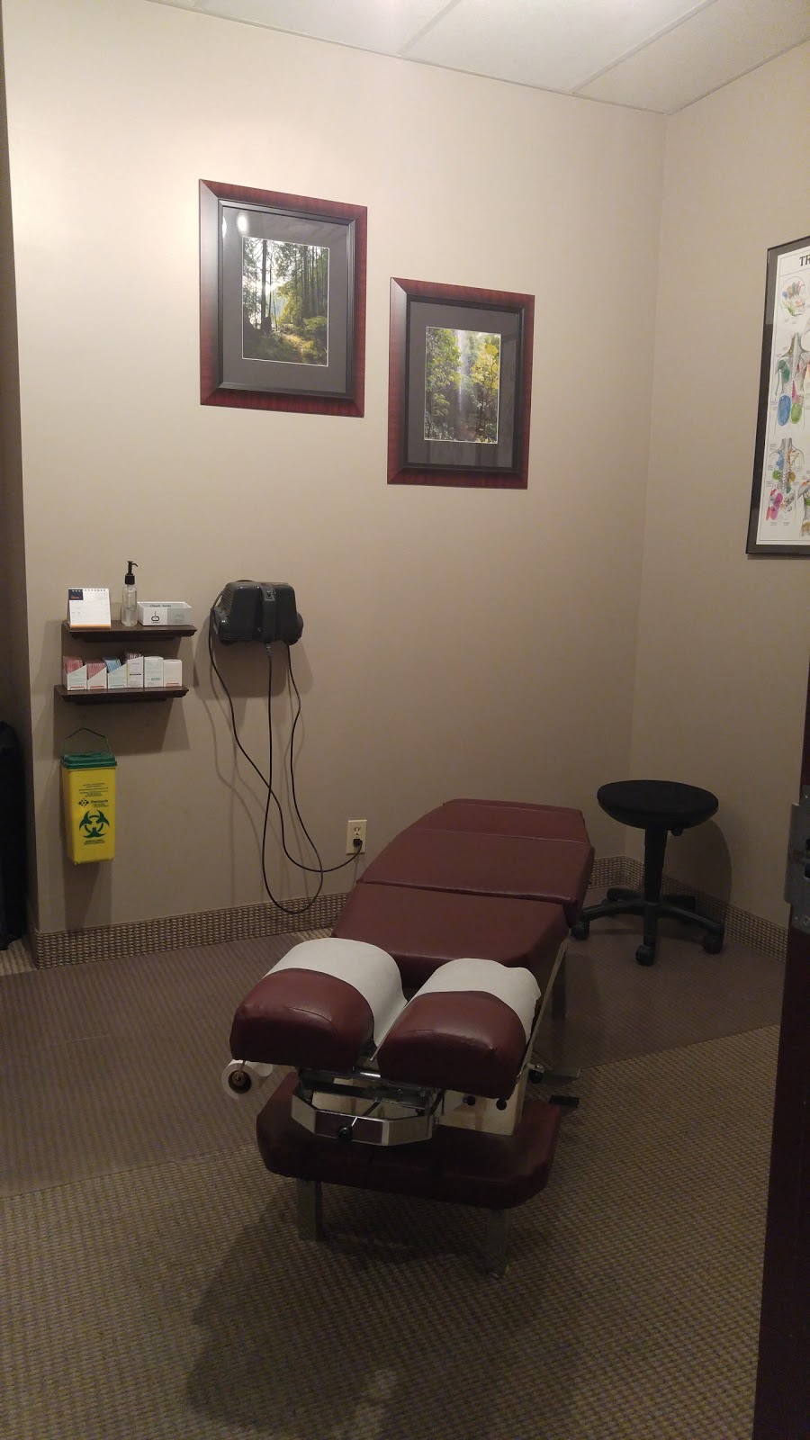 Head To Toe Chiropractic and Wellness Centre | 36 Vodden St E #107, Brampton, ON L6V 4H4, Canada | Phone: (905) 453-1806