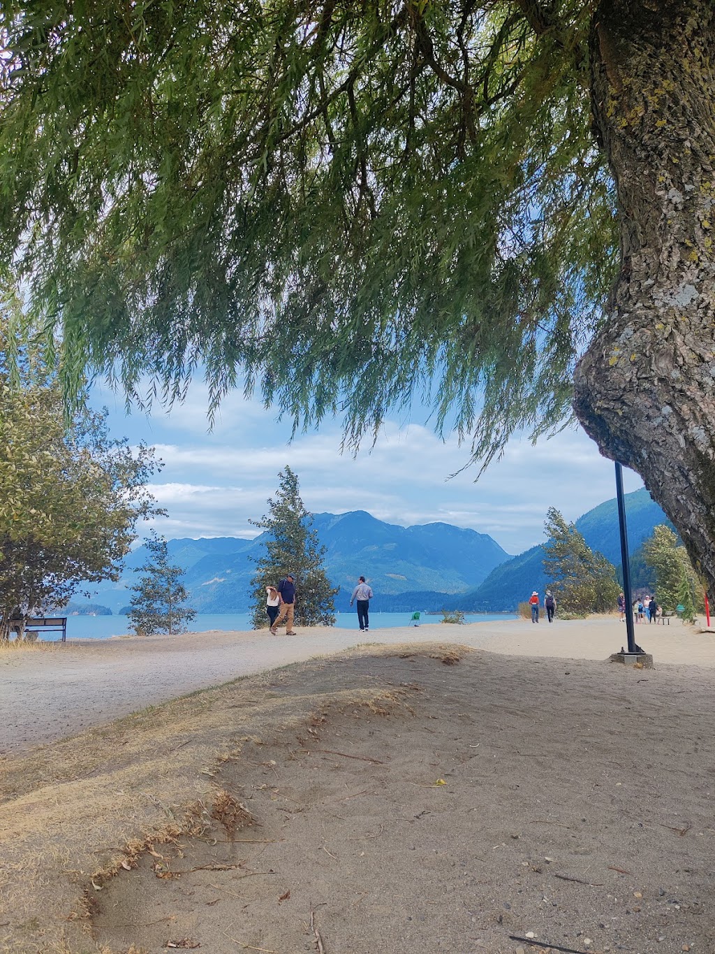 Harrison Beach | 160 Esplanade Ave, Harrison Hot Springs, BC V0M 1K0, Canada | Phone: (778) 900-0533