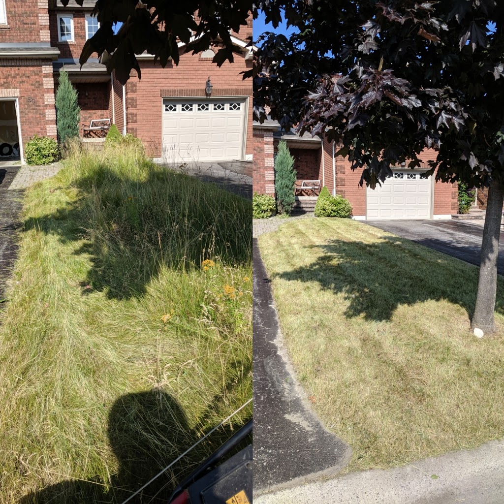 Mow Express Lawn Care | 22 Lafayette Blvd, Whitby, ON L1P 1S9, Canada | Phone: (416) 616-3831