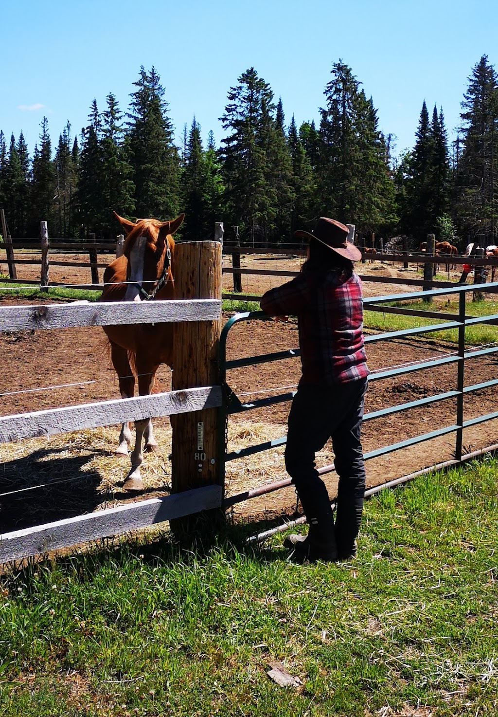 Stewart Coughlin Riding Ranch | 129 Riding Ranch Rd, South River, ON P0A 1X0, Canada | Phone: (705) 386-7465